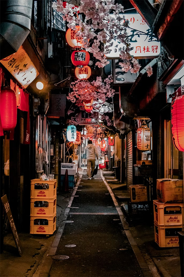 10 ที่เที่ยวโตเกียว ย่านน่าเดินในโตเกียวที่ต้องแวะไปชิค ไปชิลล์ ไปเช็คอิน - โอโมอิเดะ โยโกโจ (Omoide Yokocho)