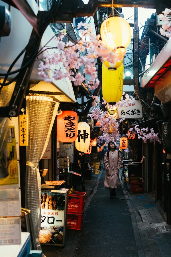 10 ที่เที่ยวโตเกียว ย่านน่าเดินในโตเกียวที่ต้องแวะไปชิค ไปชิลล์ ไปเช็คอิน - โอโมอิเดะ โยโกโจ (Omoide Yokocho)